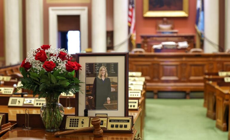 Special Primary Election to Fill Seat of Slain Minnesota Lawmaker