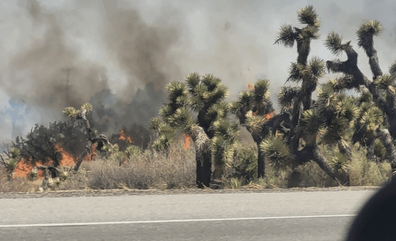 Sunny Fire Contained at 1.5 Acres in Pinon Hills, No Injuries