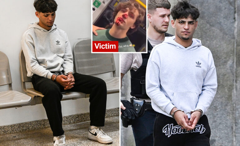 Syrian Migrant Arrested After Brutal Attack on American Model