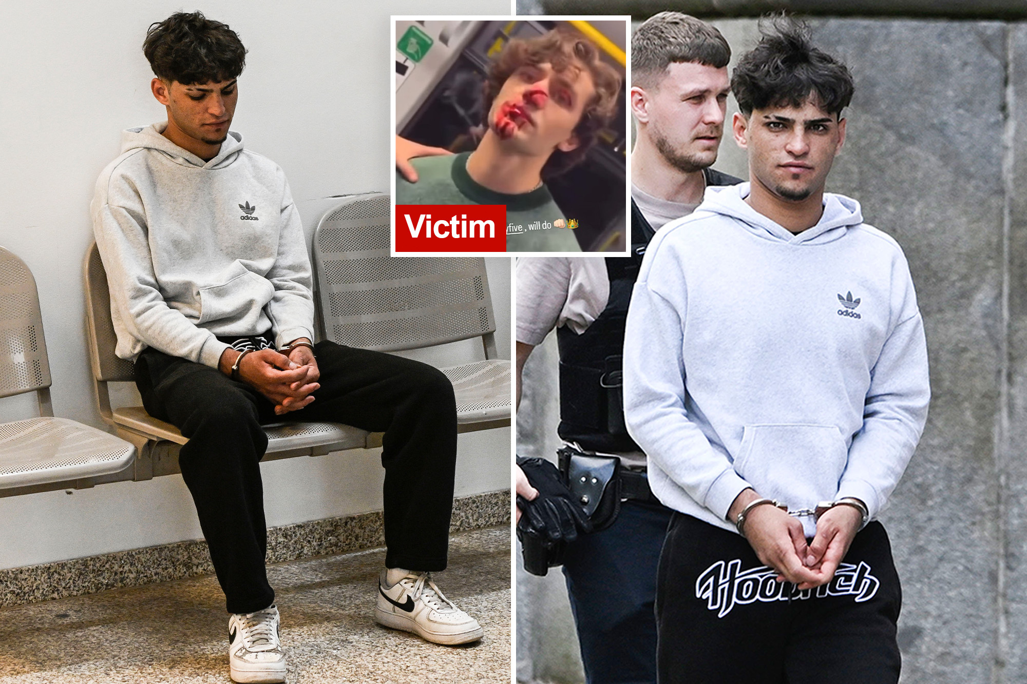 Syrian Migrant Arrested After Brutal Attack on American Model