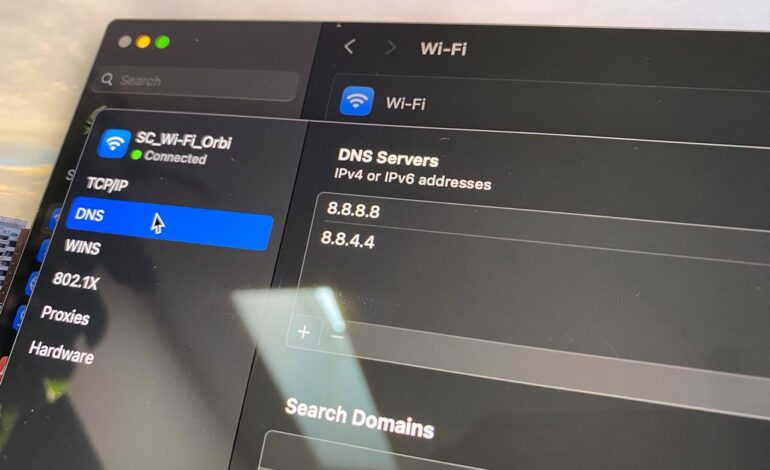 Technitium Emerges as a Leading Local DNS Tool