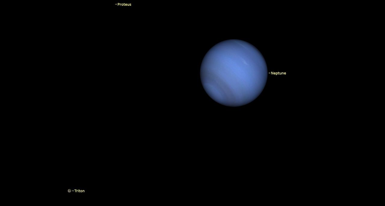 Test Your Knowledge with Our Neptune Trivia Challenge