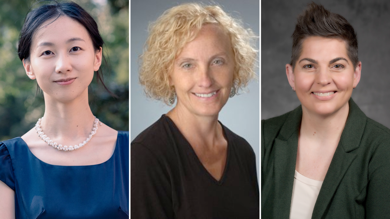 Three Researchers in Communication Sciences Receive National Honors