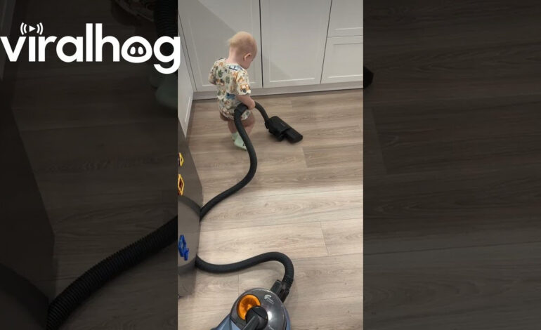 Toddler Tackles Chores: A Heartwarming Viral Sensation