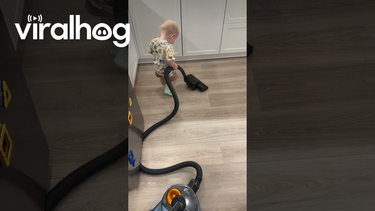 Toddler Tackles Chores: A Heartwarming Viral Sensation