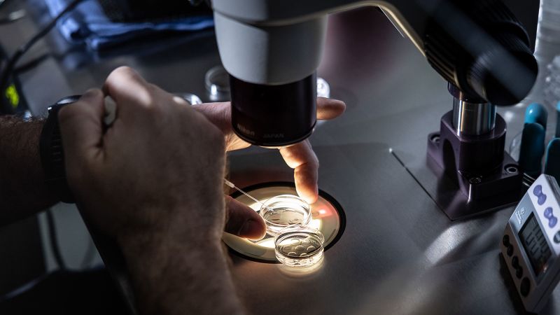 Trump’s IVF Promises Fade as Administration Lacks Action