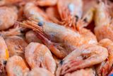 U.S. FDA Recalls Radioactive Shrimp Over Cesium-137 Concerns