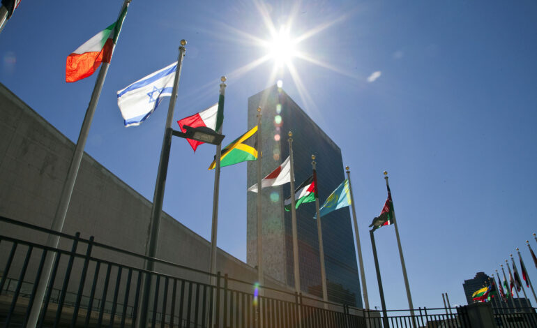 UN Experts Urge Gender-Centered Approach to Human Rights NOW