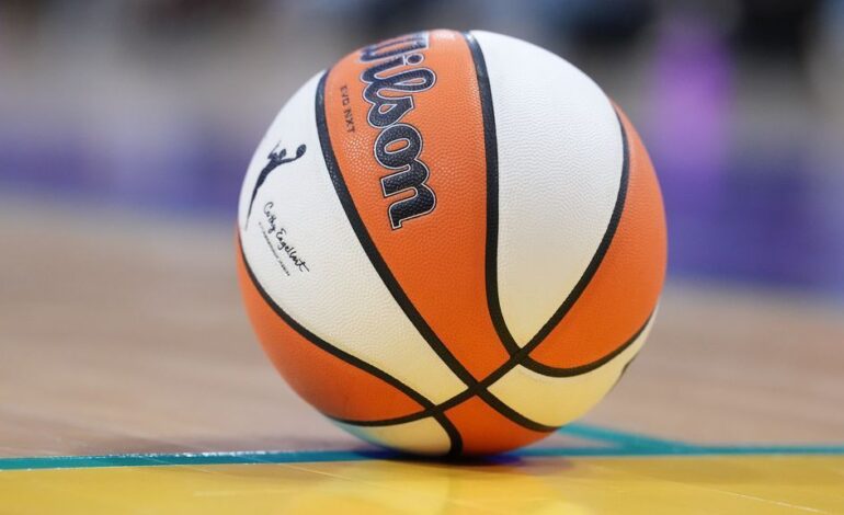 Unruly Fans Disrupt WNBA Games with Sex Toy Incidents