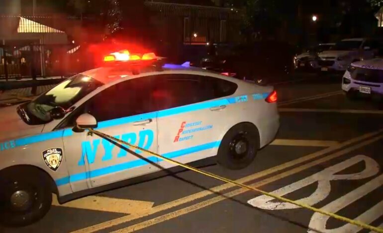 Urgent: 1 Dead, 4 Injured in Bronx Park Shooting During Game