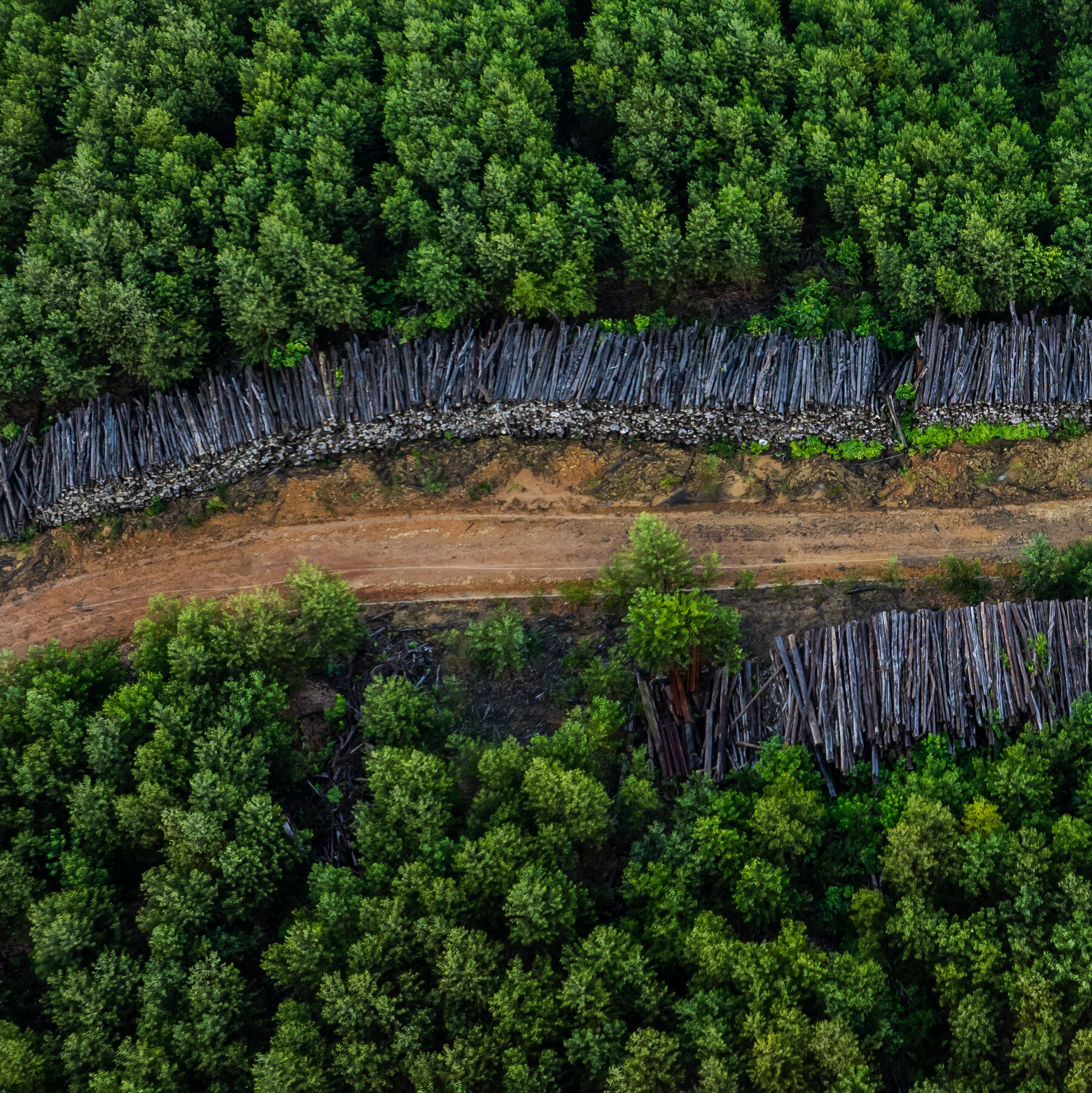 Urgent Alert: R.V. Industry Faces Tropical Hardwood Crisis