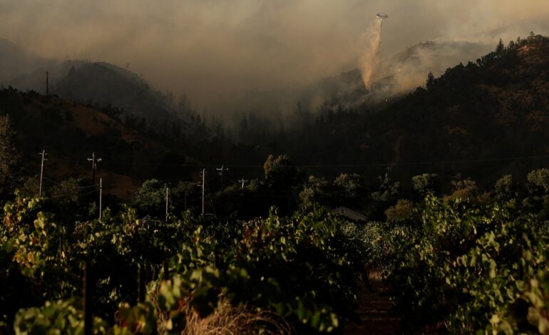 Urgent Evacuations Ordered as Wildfire Rages in Napa County