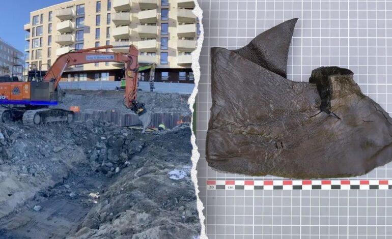 Archaeologists Uncover Thousands of Medieval Leather Artifacts in Oslo