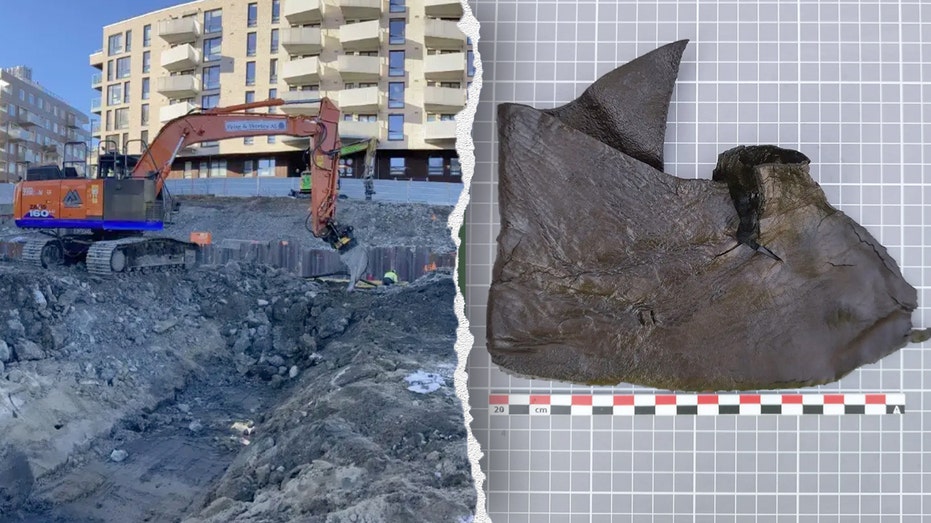 Archaeologists Uncover Thousands of Medieval Leather Artifacts in Oslo
