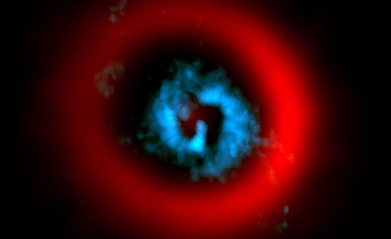 Astronomers Capture Rare Image of Baby Planet Forming in Real Time