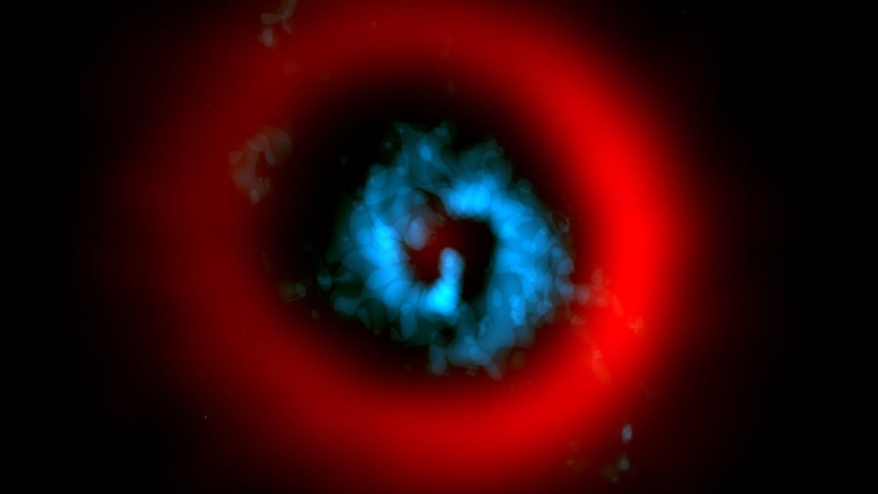 Astronomers Capture Rare Image of Baby Planet Forming in Real Time