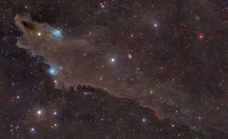 Astrophotographer Unveils Cosmic Shark in Stunning Space Image