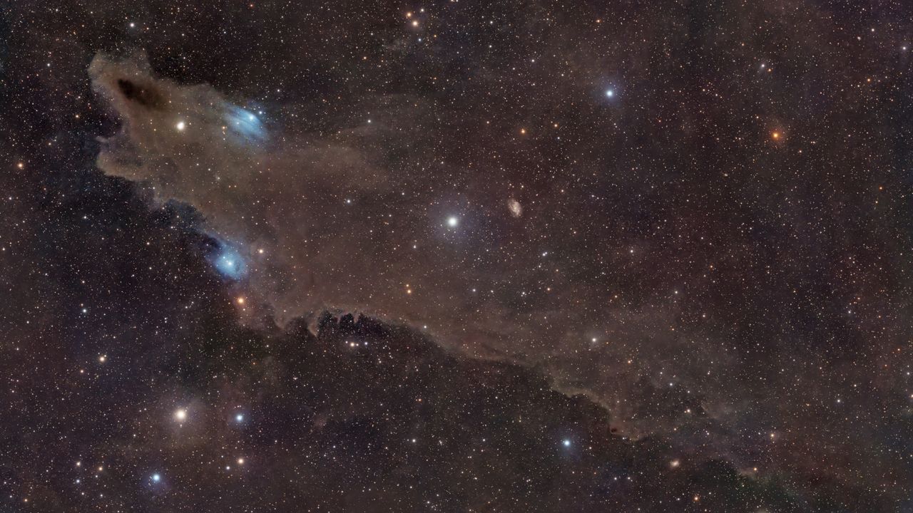 Astrophotographer Unveils Cosmic Shark in Stunning Space Image