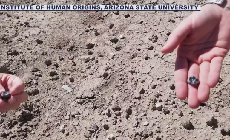 ASU Researchers Uncover Ancient Human Teeth in Ethiopia