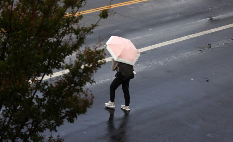 Bay Area Faces Hot, Dry Conditions After Record Rainfall