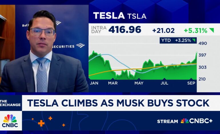 BofA’s Paul Ciana Optimistic on Tesla’s Future Performance