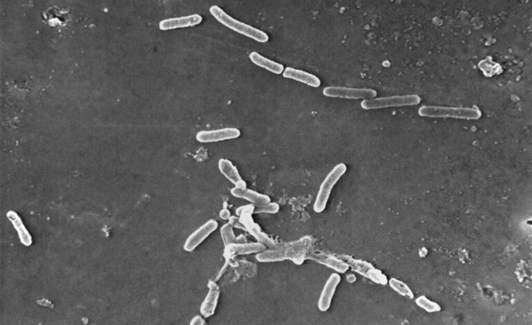 Boosting Open Science in Biotech to Tackle Antibiotic Resistance