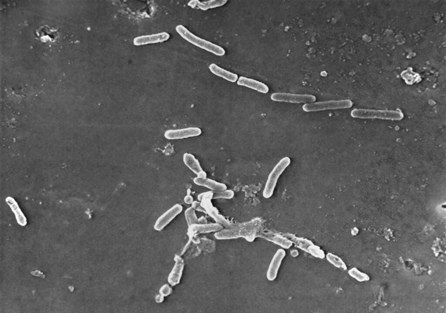 Boosting Open Science in Biotech to Tackle Antibiotic Resistance
