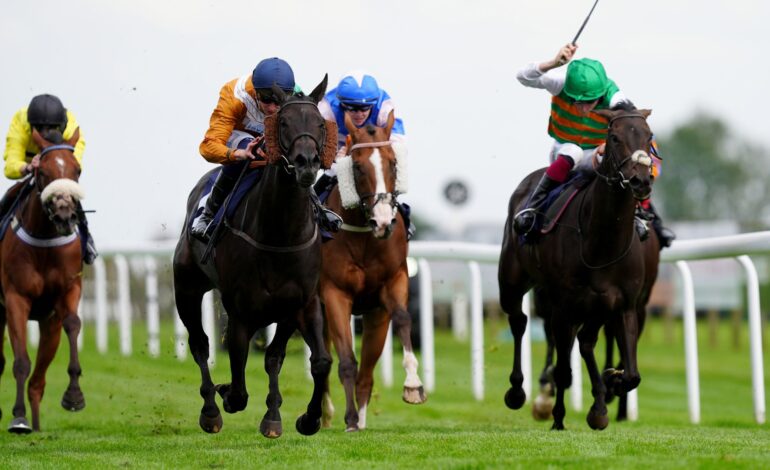 British Horseracing to Strike Wednesday in Tax Protest
