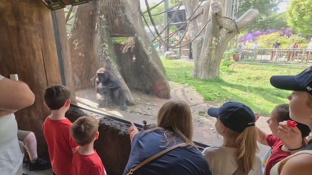 Cancer Patients Celebrate Life at Franklin Park Zoo Festival