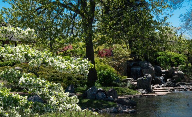 Chicago’s Jackson Park Crowned World’s Top Proposal Spot Today