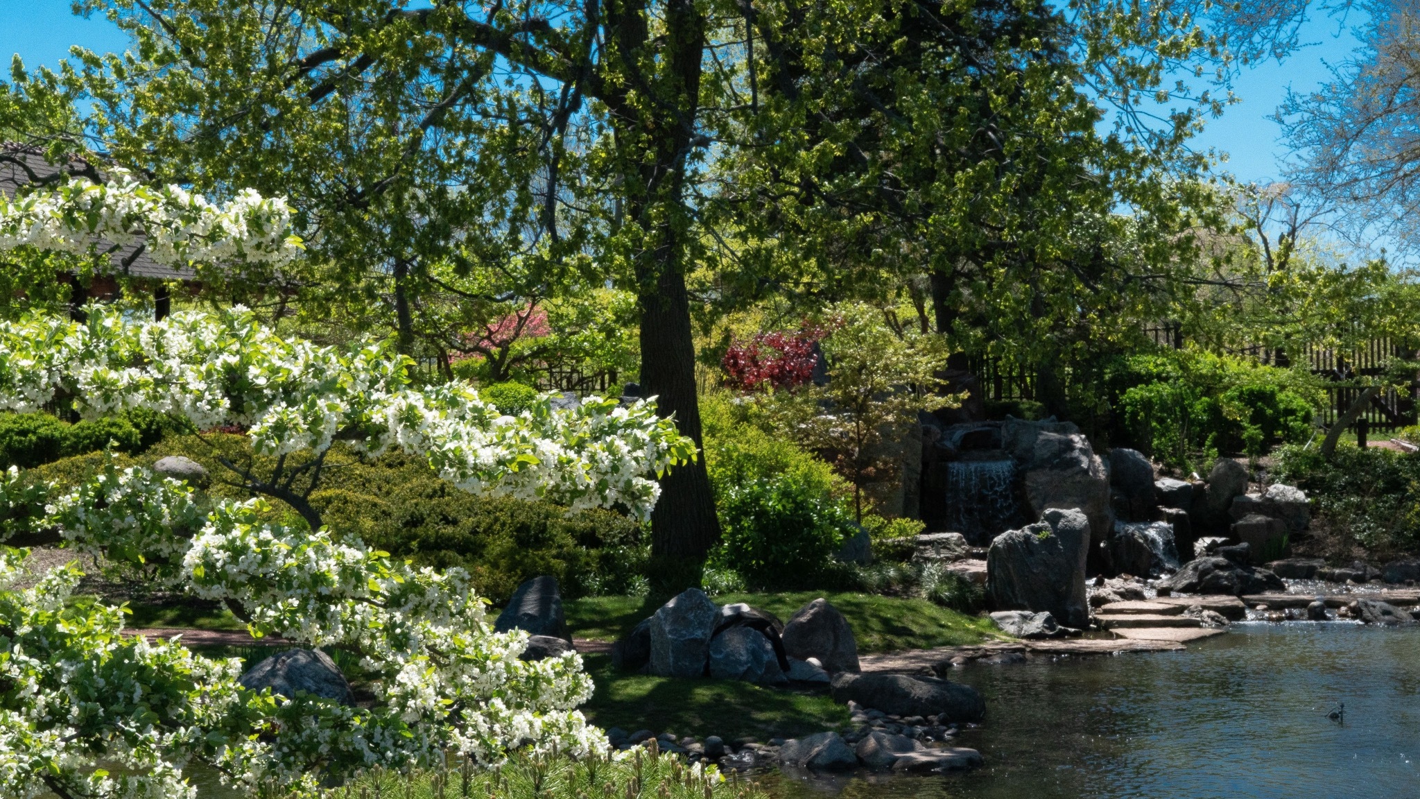 Chicago’s Jackson Park Crowned World’s Top Proposal Spot Today