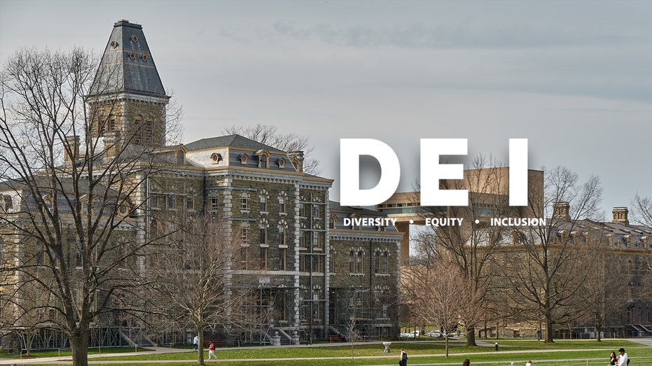 Cornell MBA Council Urges Non-Marginalized Students to Skip DEI Events