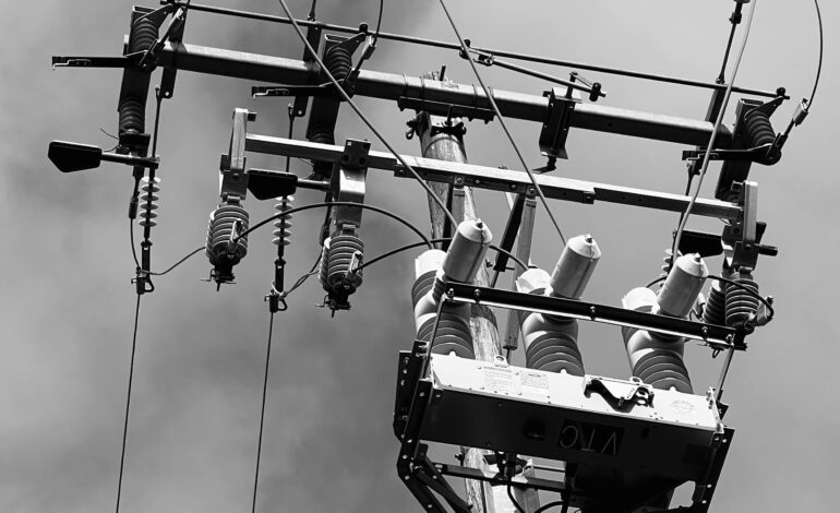 Exelon CEO Advocates for Affordable Energy Amid Climate Goals