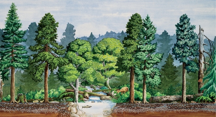 Explore the Top 10 Essential Books on Permaculture Today