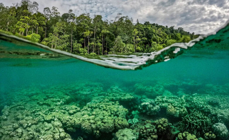 Exploring Raja Ampat: The Sacred Coral Reefs of Indonesia