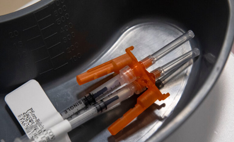 F.D.A. to Present Covid Vaccine Deaths Data at C.D.C. Panel
