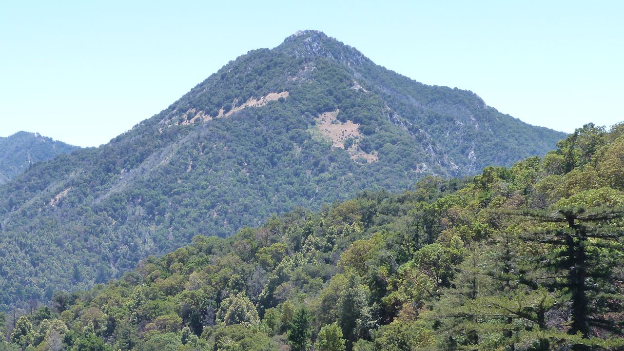 Girl Scout Rescued in California Canyon Thanks to Satellite Technology