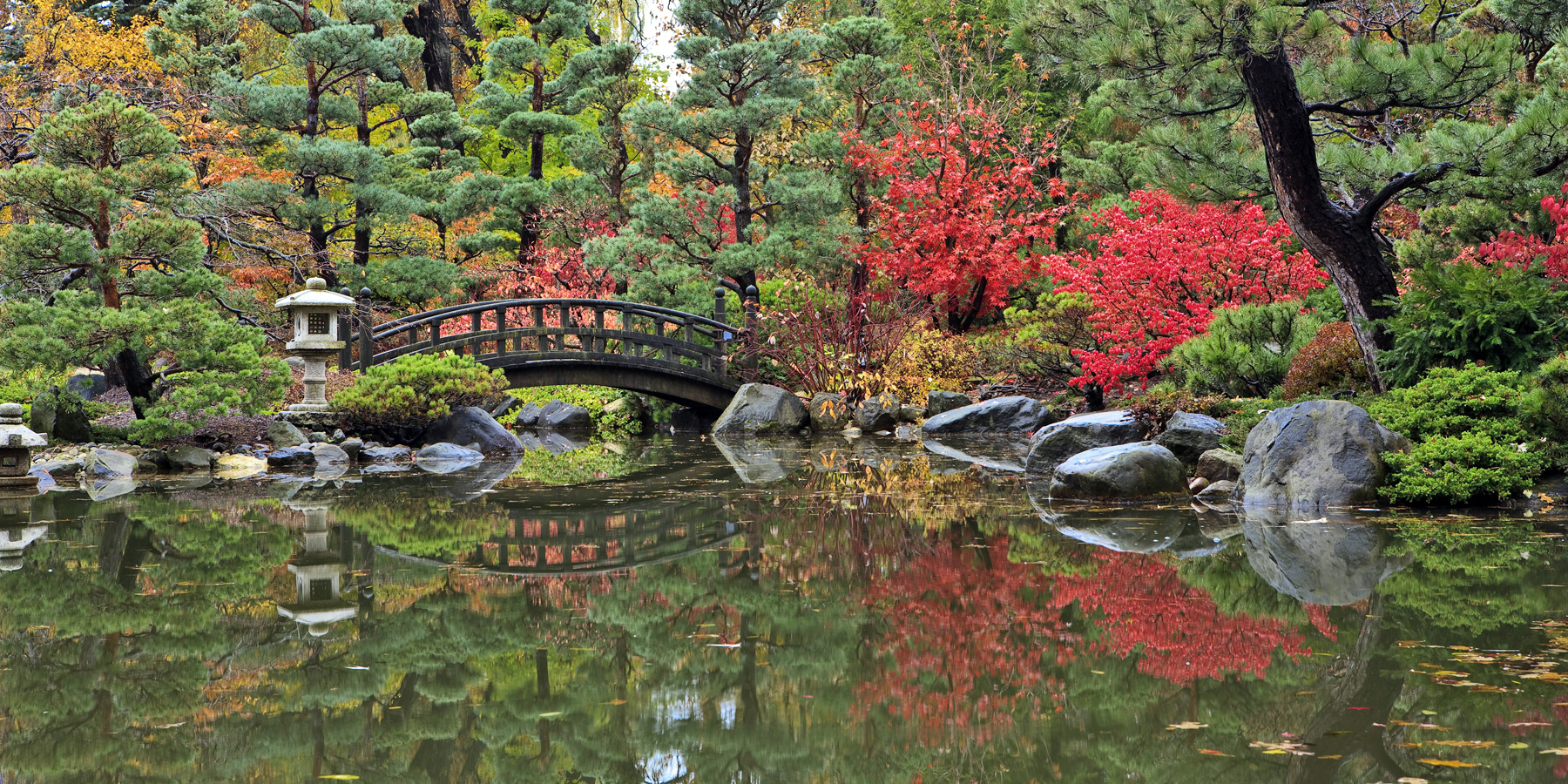 HGTV Announces Most Beautiful Garden in Illinois—Discover It Now!