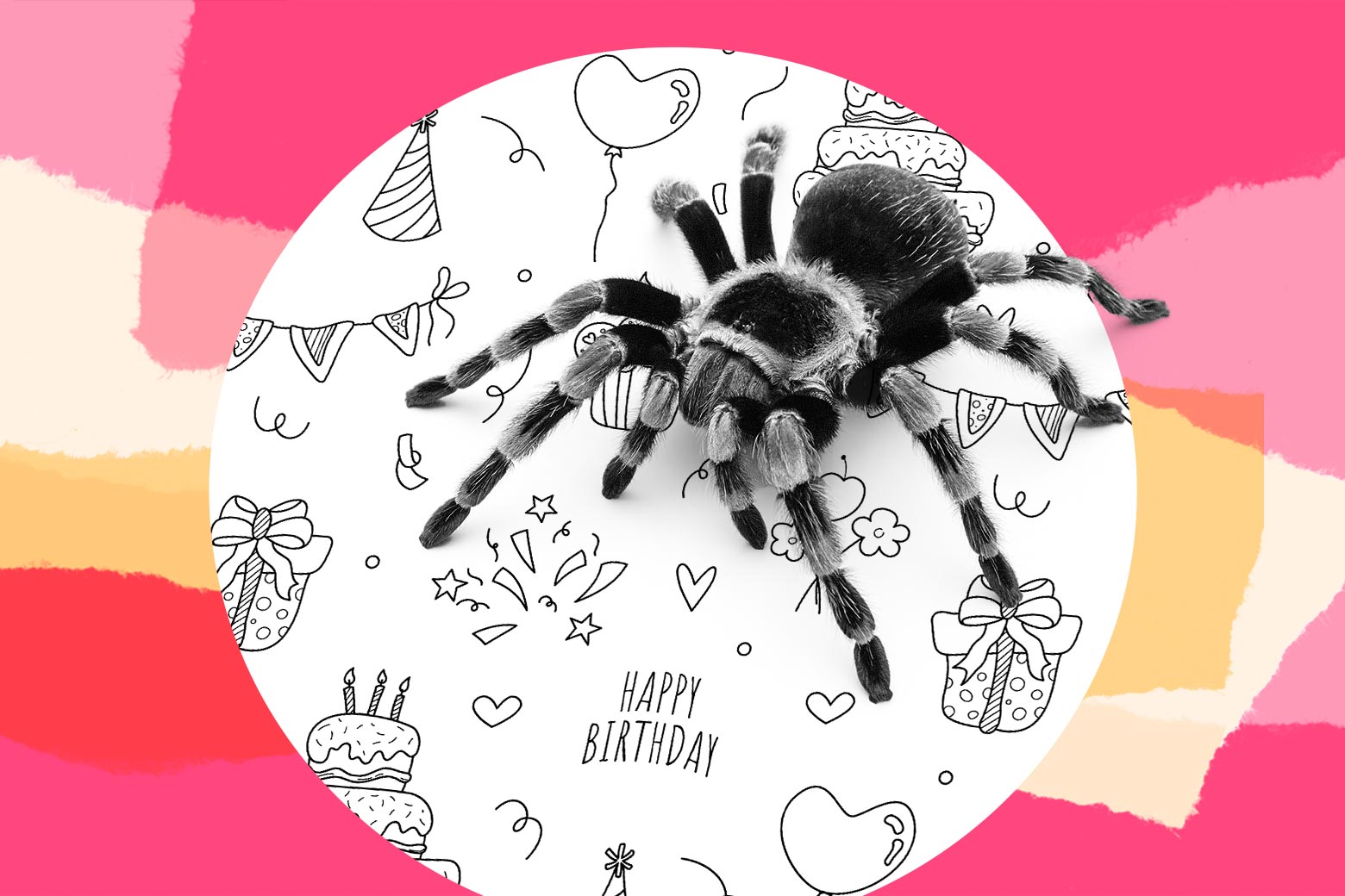 Husband Surprises Son with Tarantula; Mother Outraged Over Secret Gift