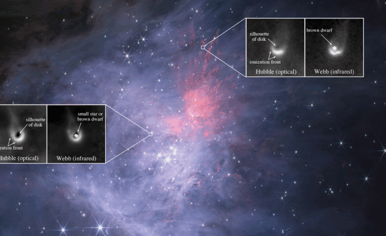 James Webb Discovers Chemically Rich Disk Around ‘Failed Star’