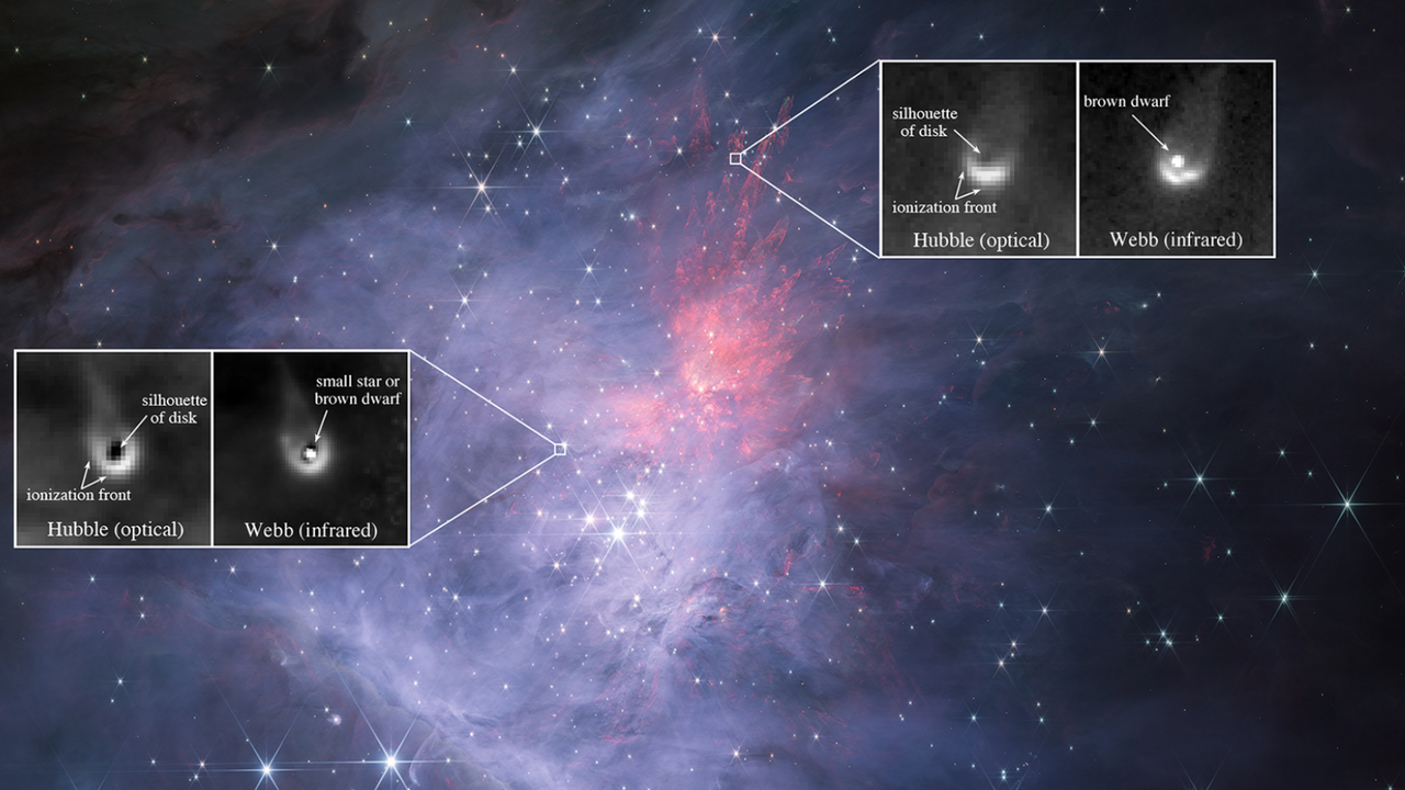 James Webb Discovers Chemically Rich Disk Around ‘Failed Star’