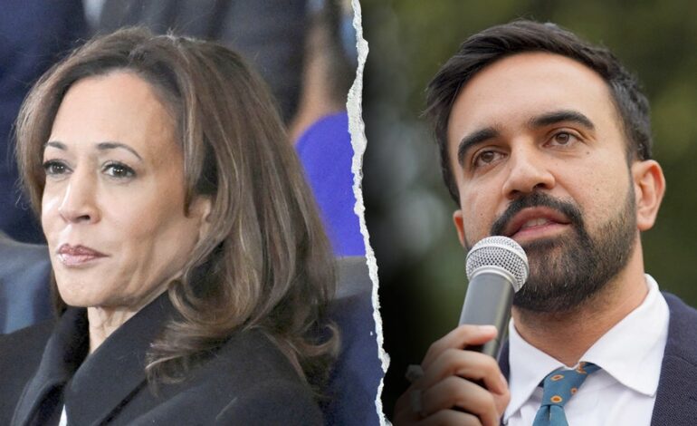 Kamala Harris Offers Conditional Support for Zohran Mamdani
