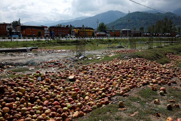 Kashmir’s Apple Crop Devastated as Landslide Halts Harvesting