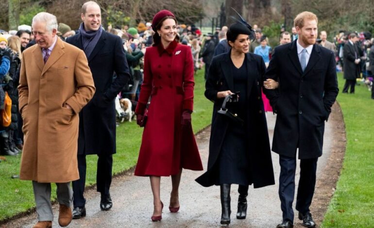 King Charles Caught Prince William Off Guard with Harry Meeting