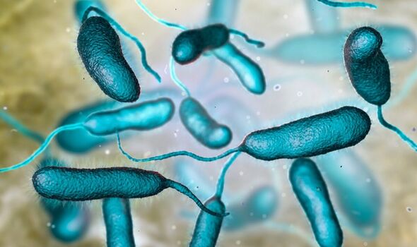 Louisiana Faces Health Crisis as Fifth Death Linked to Flesh-Eating Bacteria