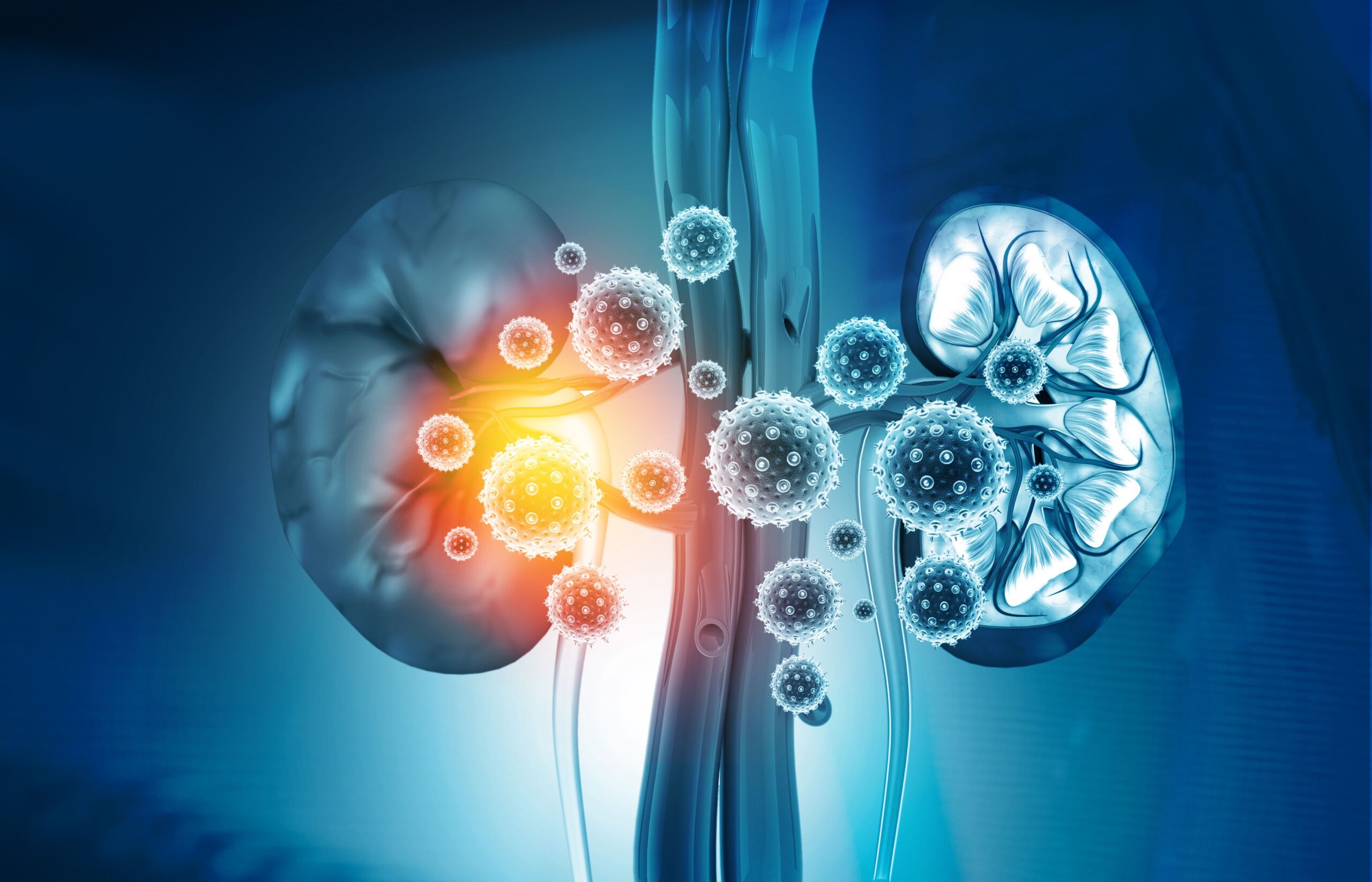 Mitochondria-Targeted Therapies Set to Revolutionize AKI Treatment