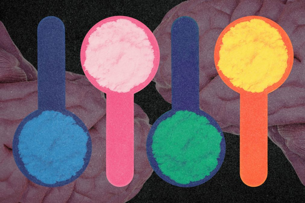New Research Explores Creatine’s Potential to Enhance Brain Function