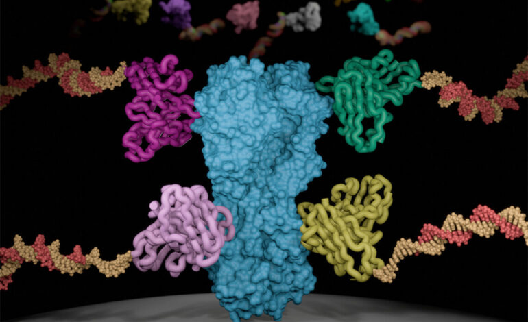 Researchers Unveil High-Volume Antibody Testing Method to Boost Treatment Development