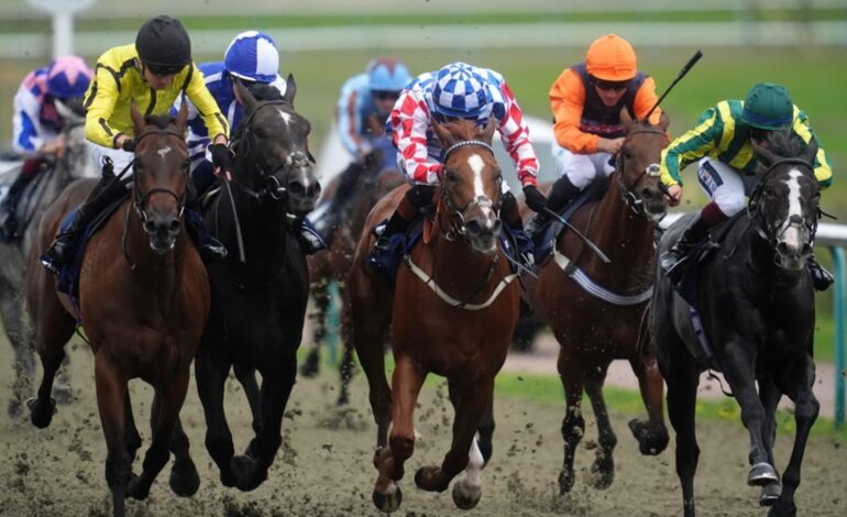 Run With It Aims for Hat-Trick at Lingfield Today