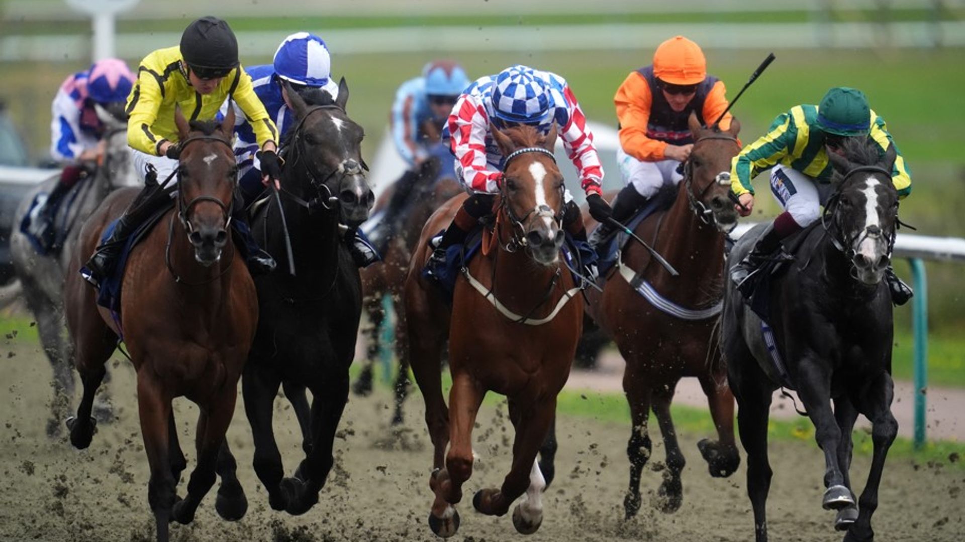 Run With It Aims for Hat-Trick at Lingfield Today